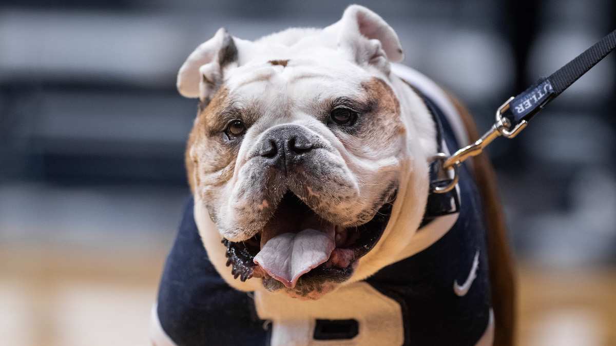 Butler Blue III To Retire At End of 2019-2020 Academic Year – Stories
